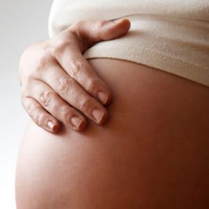 PLACENTA.jpg (20.14 Ko)